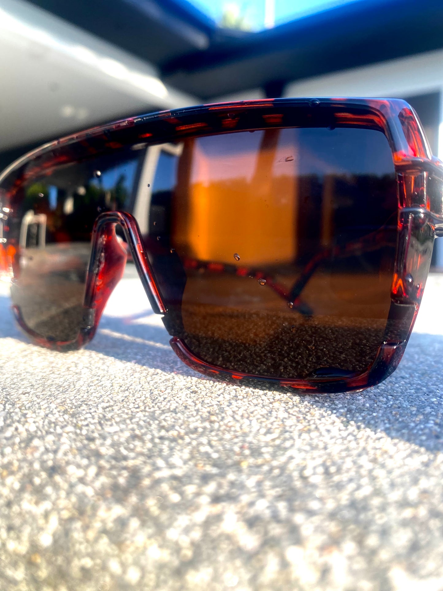 Palm Springs Sunglasses