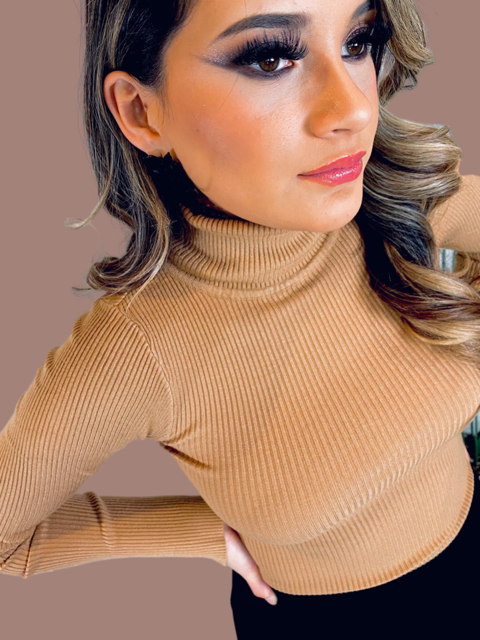 Mocha Turtle Neck Sweater.