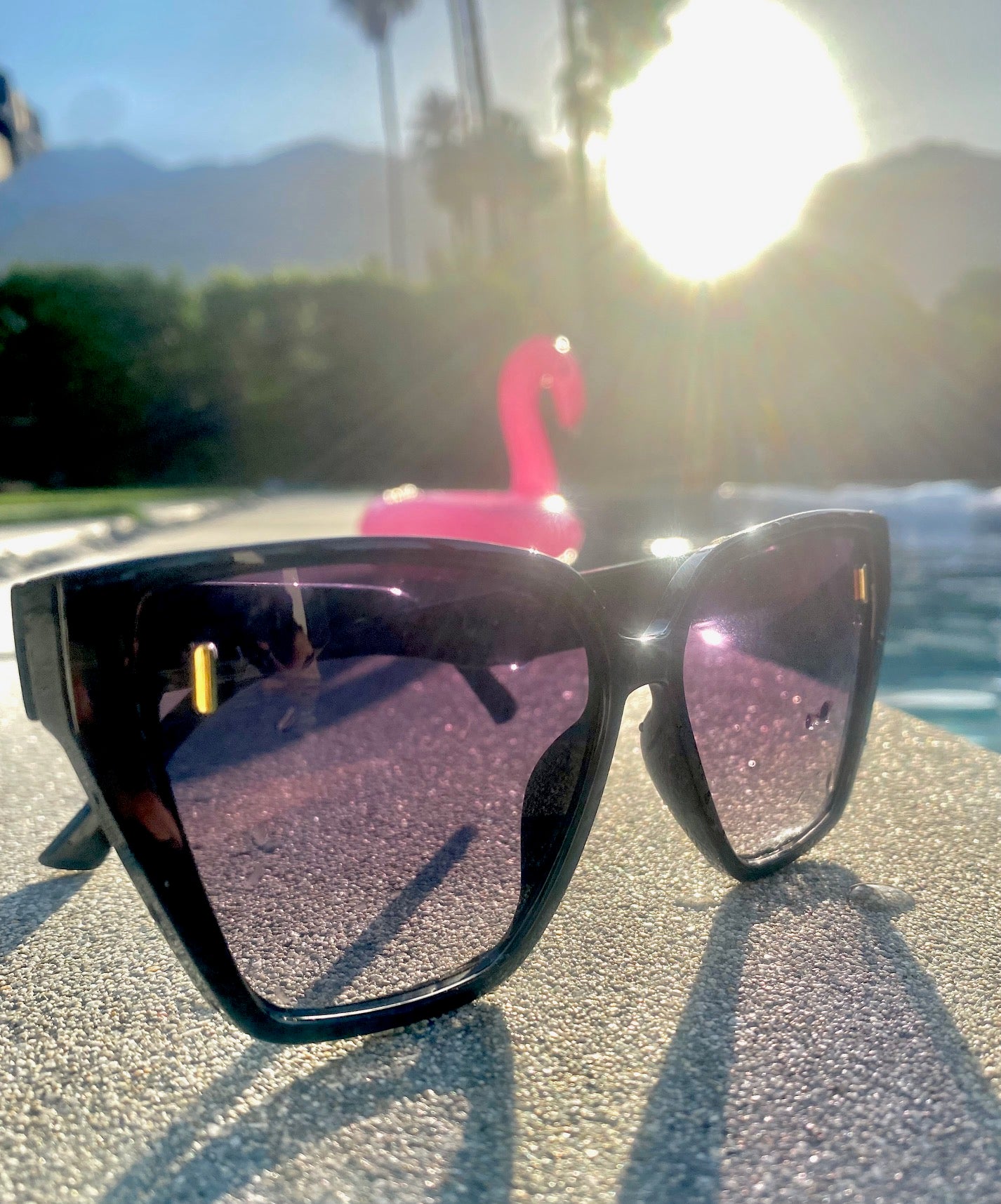 Sun Savvy Sunglasses