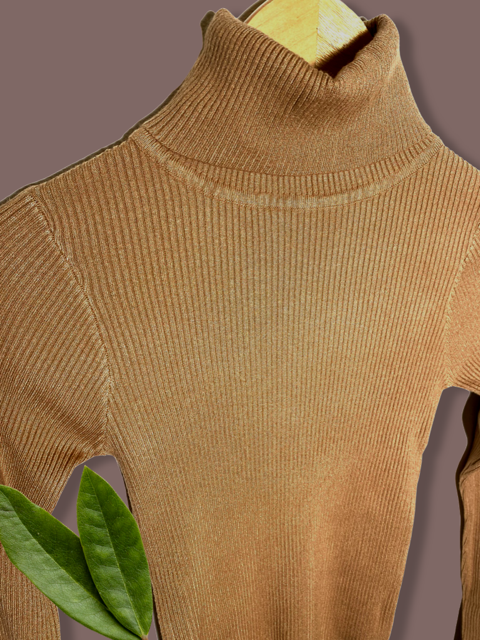 Mocha Turtle Neck Sweater.