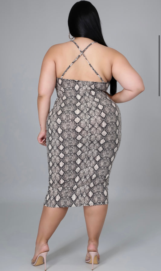 Sassy Snake Print Midi Dress